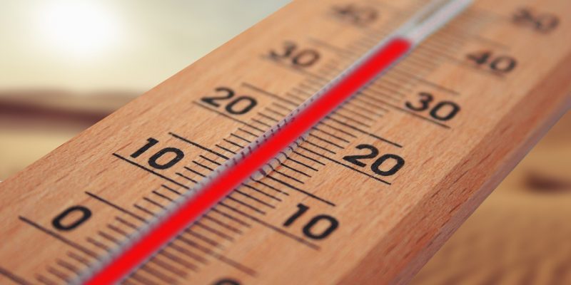 Vì sao thân nhiệt cơ thể con người luôn duy trì ổn định ở 37 độ C?