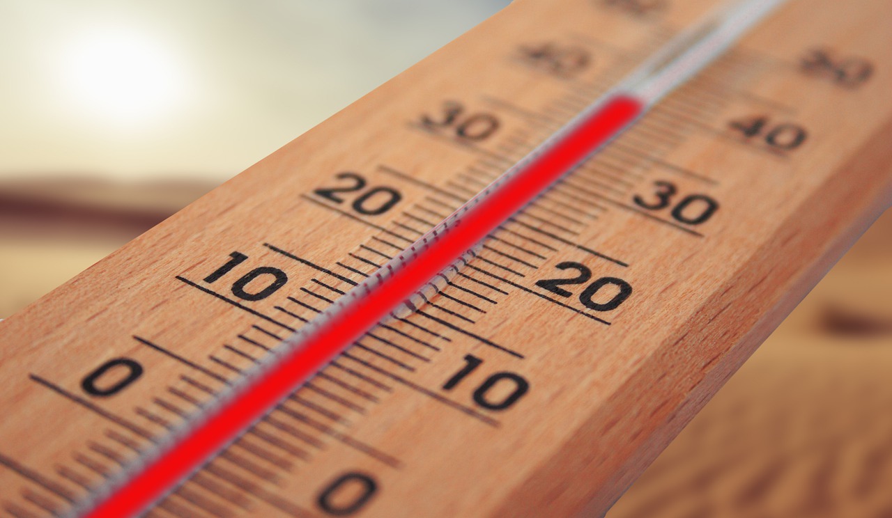 Vì sao thân nhiệt cơ thể con người luôn duy trì ổn định ở 37 độ C?