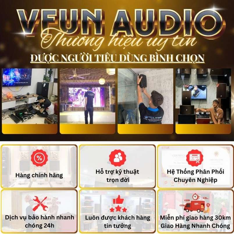 Giới thiệu chung về Vfun Audio